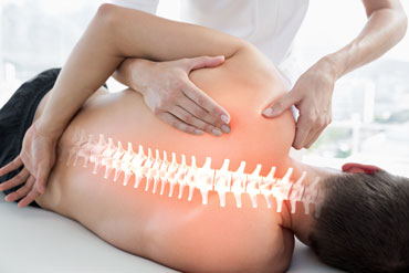 spine photo
